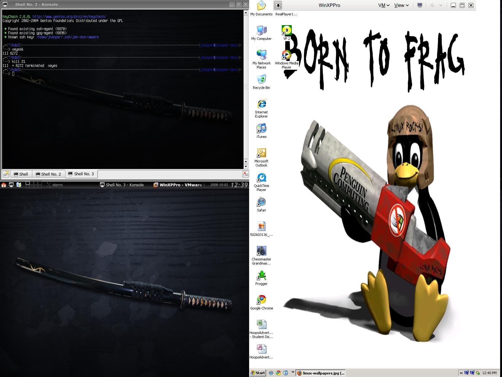 screenshot-ws-fullscreen-enabled-multimonvert